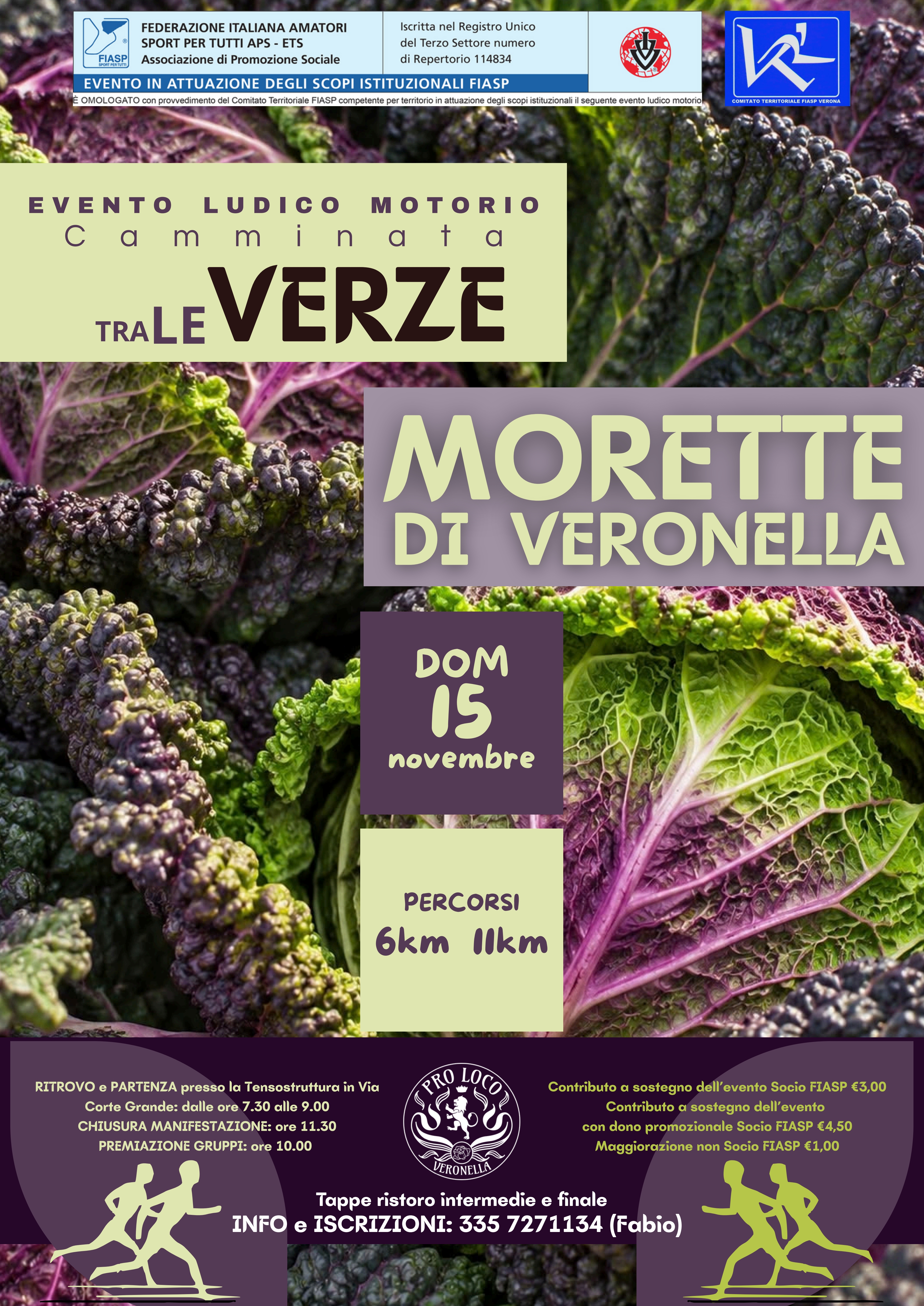 MANIFESTO CAMMINATA TRA LE VERZE 2026 1